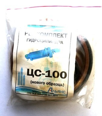 Ремкомплект гидроцилиндра ЦС-100 нового образца - фото